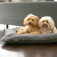 2-in-1 Charcoal Sofa Pet Bed